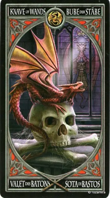 Page of Wands card from the Anne Stokes Gothic Tarot deck