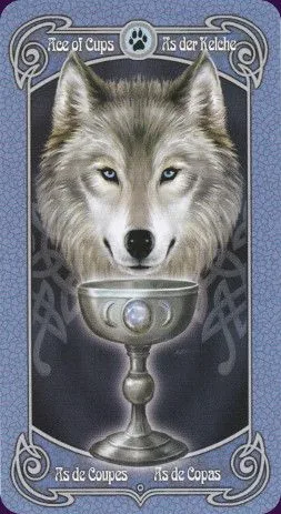 Ace of Cups card from the Anne Stokes Legends Tarot deck
