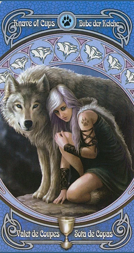 Page of Cups card from the Anne Stokes Legends Tarot deck