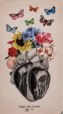 Antique Anatomy Tarot source card 08 card from the Antique Anatomy Tarot deck