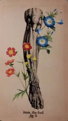 Antique Anatomy Tarot source card 09 card from the Antique Anatomy Tarot deck