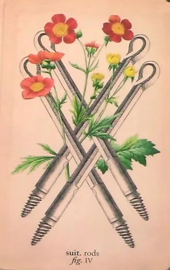 Antique Anatomy Tarot source card 25 card from the Antique Anatomy Tarot deck