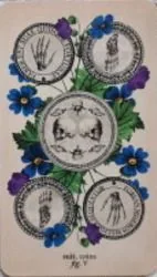Antique Anatomy Tarot source card 38 card from the Antique Anatomy Tarot deck