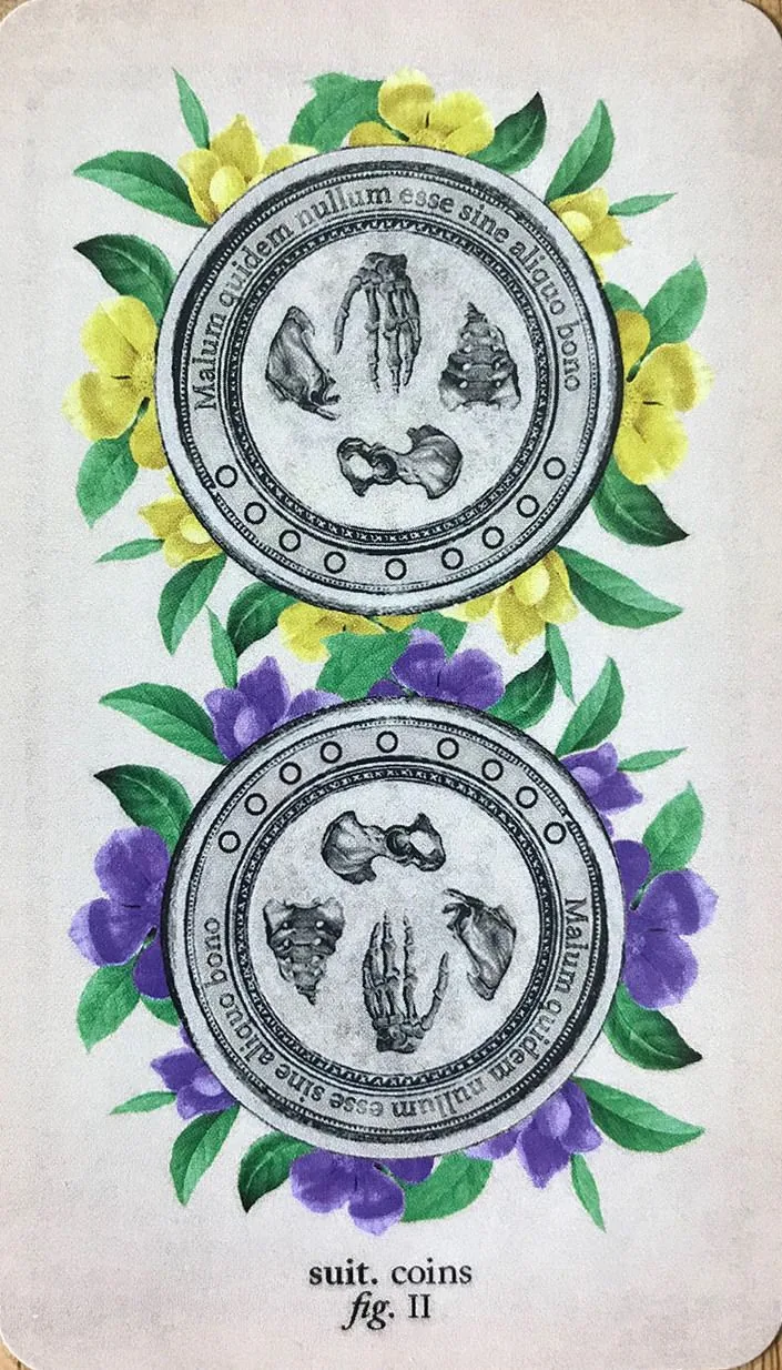 Antique Anatomy Tarot source card 47 card from the Antique Anatomy Tarot deck