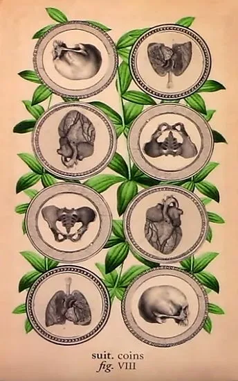Antique Anatomy Tarot source card 53 card from the Antique Anatomy Tarot deck