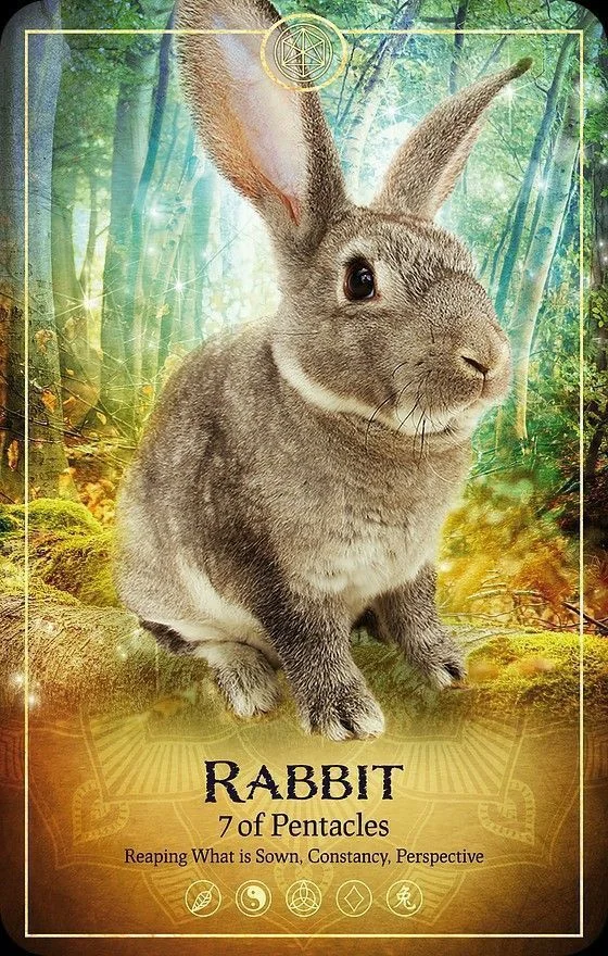 Ark Animal Tarot Review