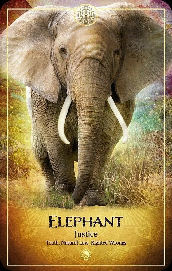 Elephant card from the Ark Animal Tarot deck