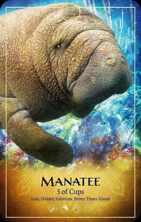 Manatee card from the Ark Animal Tarot deck