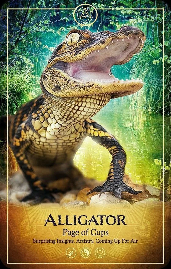 Ark Animal Tarot Review 8 Alligator card from the Ark Animal Tarot deck