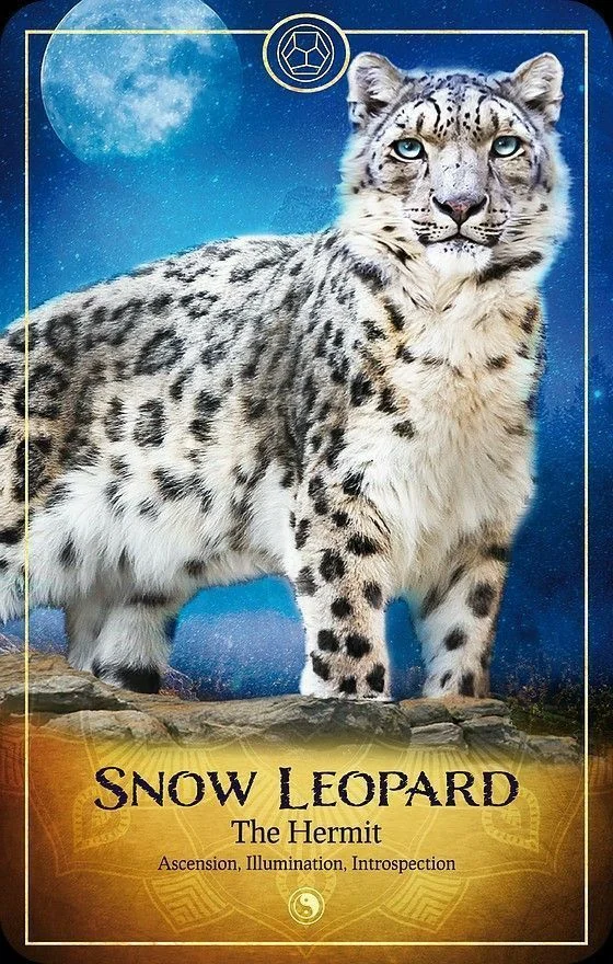 Snow Leopard card from the Ark Animal Tarot deck
