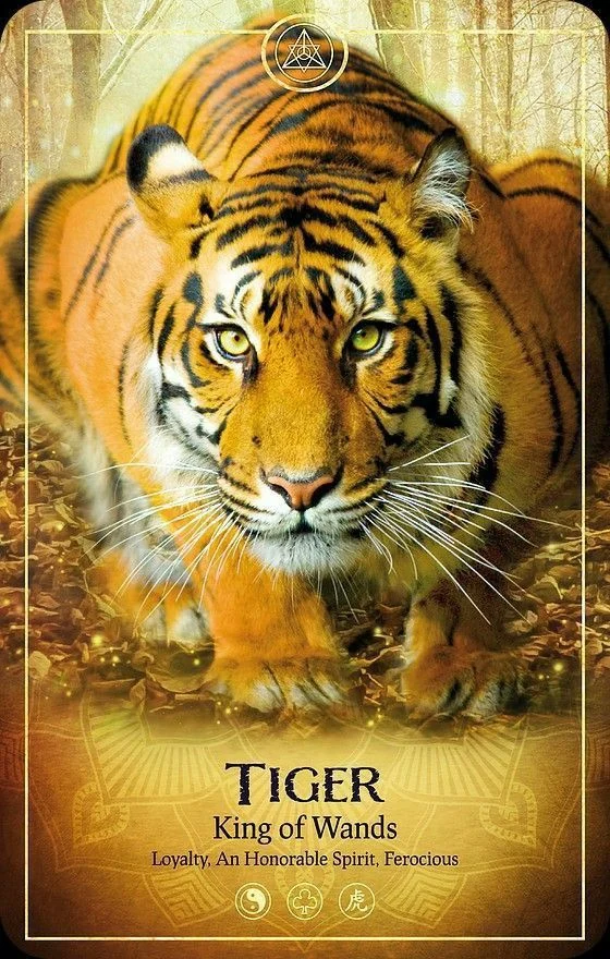 Tiger card from the Ark Animal Tarot deck