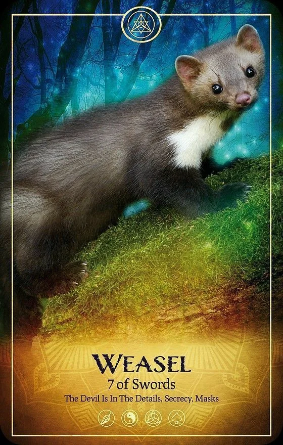 Weasel card from the Ark Animal Tarot deck