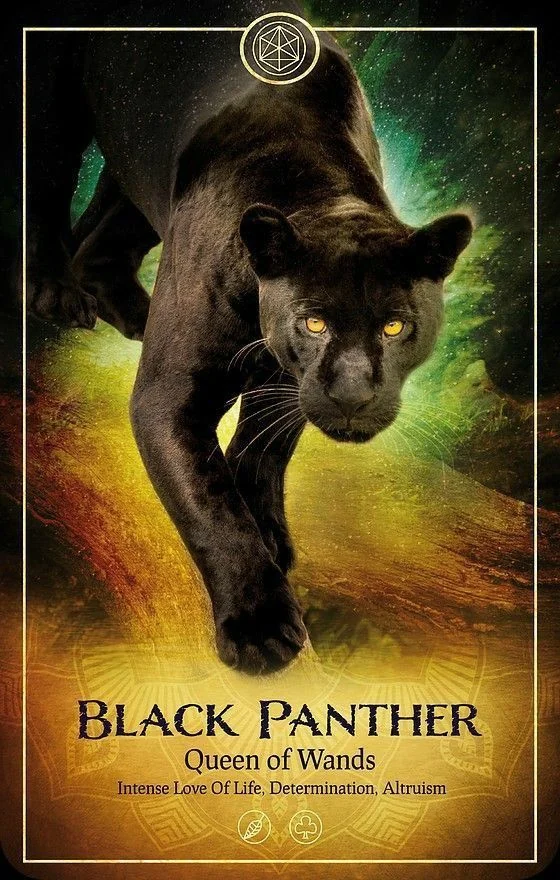 Black Panther card from the Ark Animal Tarot deck