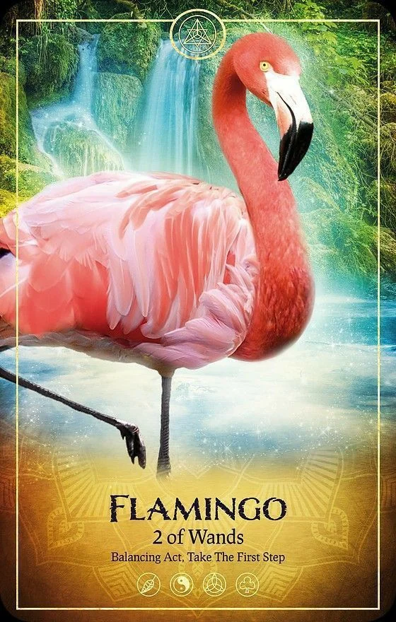 Flamingo card from the Ark Animal Tarot deck