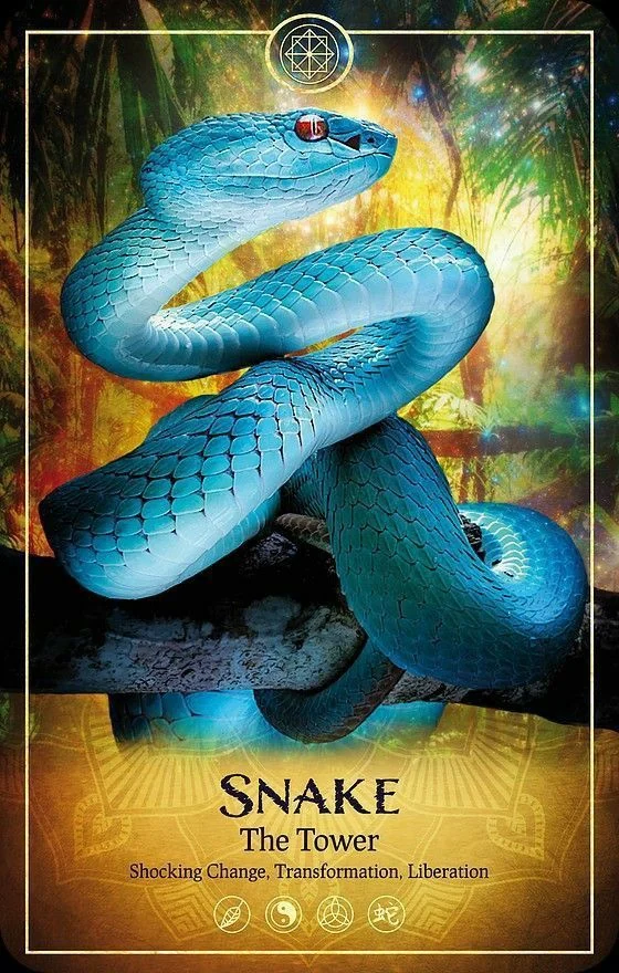 Snake card from the Ark Animal Tarot deck