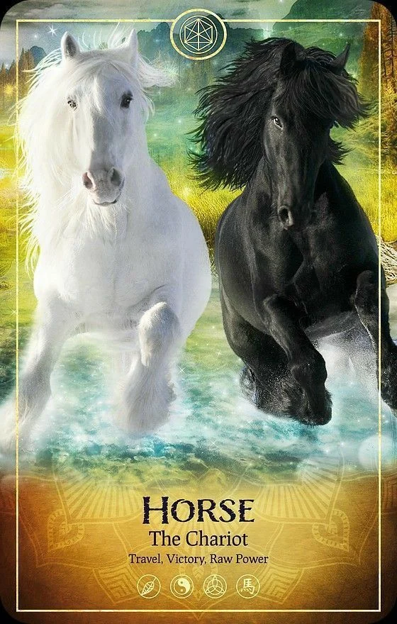 Horse card from the Ark Animal Tarot deck