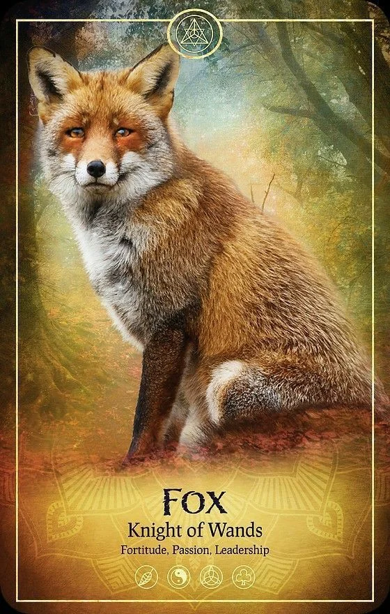 Fox card from the Ark Animal Tarot deck