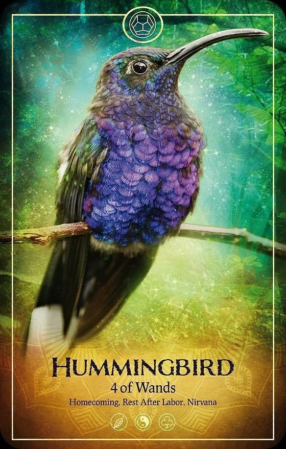 Hummingbird card from the Ark Animal Tarot deck