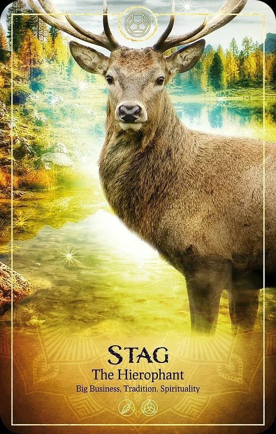 Stag card from the Ark Animal Tarot deck