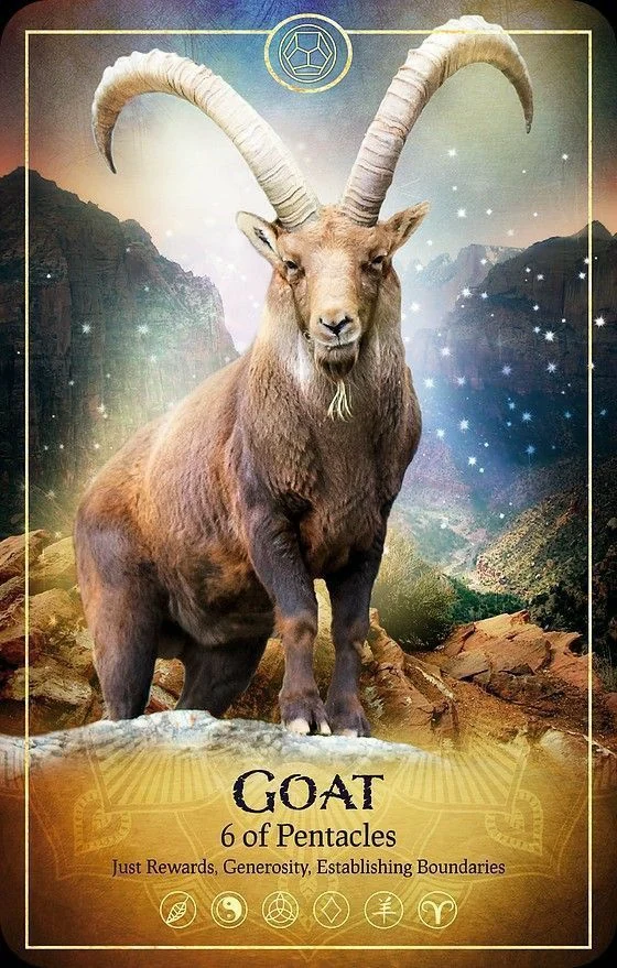 Goat card from the Ark Animal Tarot deck