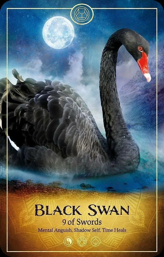 Black Swan card from the Ark Animal Tarot deck