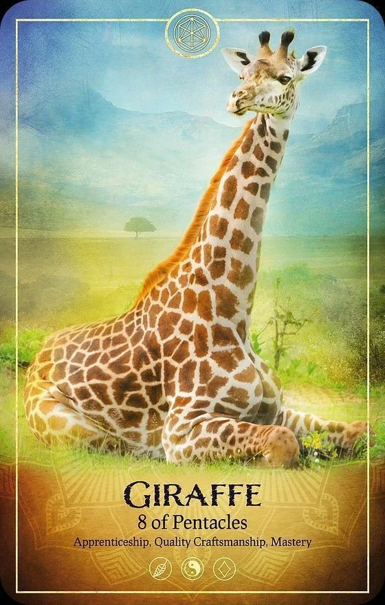 Giraffe card from the Ark Animal Tarot deck