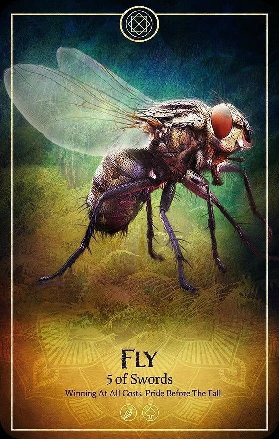 Fly card from the Ark Animal Tarot deck