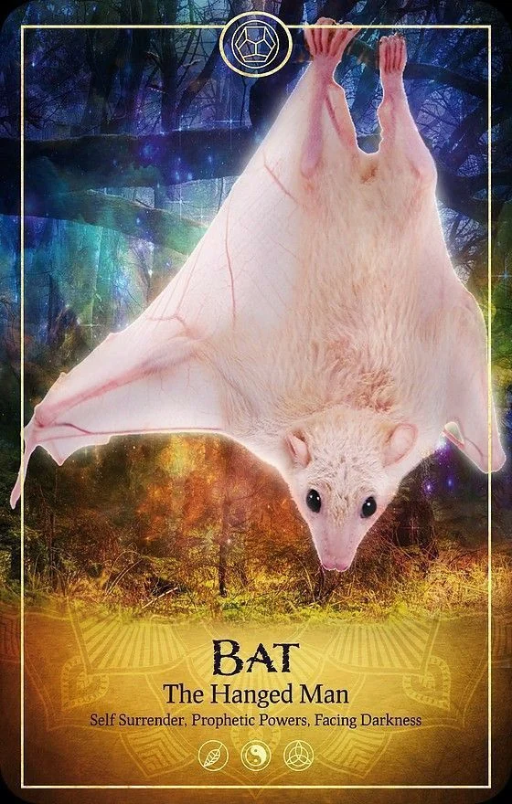 Bat card from the Ark Animal Tarot deck