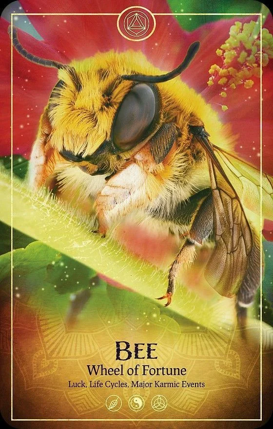 Ark Animal Tarot Review 17 Bee card from the Ark Animal Tarot deck