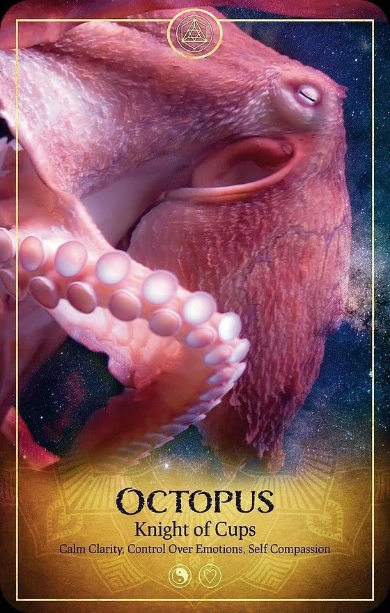 Octopus card from the Ark Animal Tarot deck