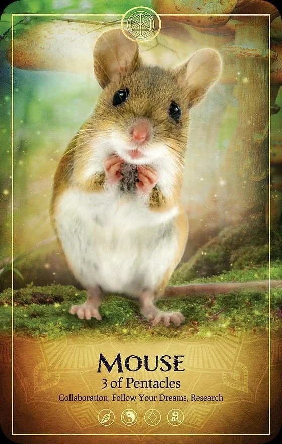 Mouse card from the Ark Animal Tarot deck