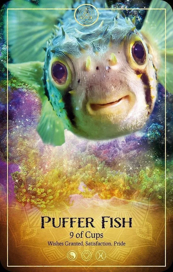 Puffer Fish card from the Ark Animal Tarot deck
