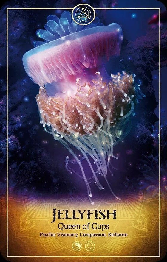 Ark Animal Tarot Review 12 Jellyfish card from the Ark Animal Tarot deck