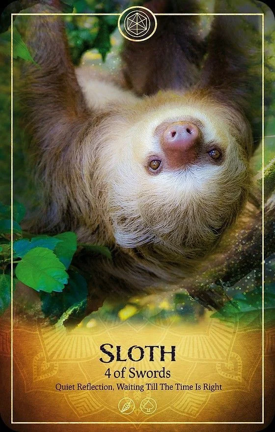 Sloth card from the Ark Animal Tarot deck