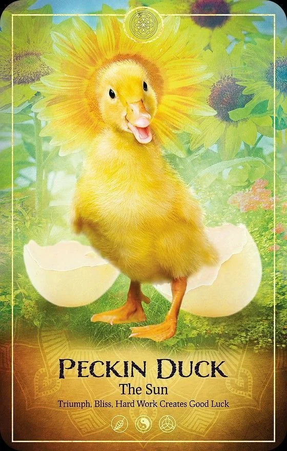 Peckin Duck card from the Ark Animal Tarot deck