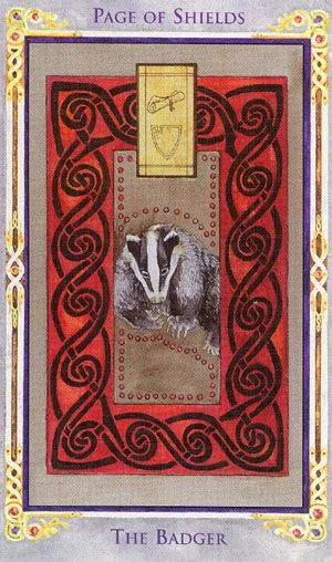 Page of Shields card from the Arthurian Tarot deck