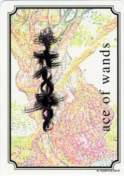 Atavist Tarot source-order card 52 card from the Atavist Tarot deck