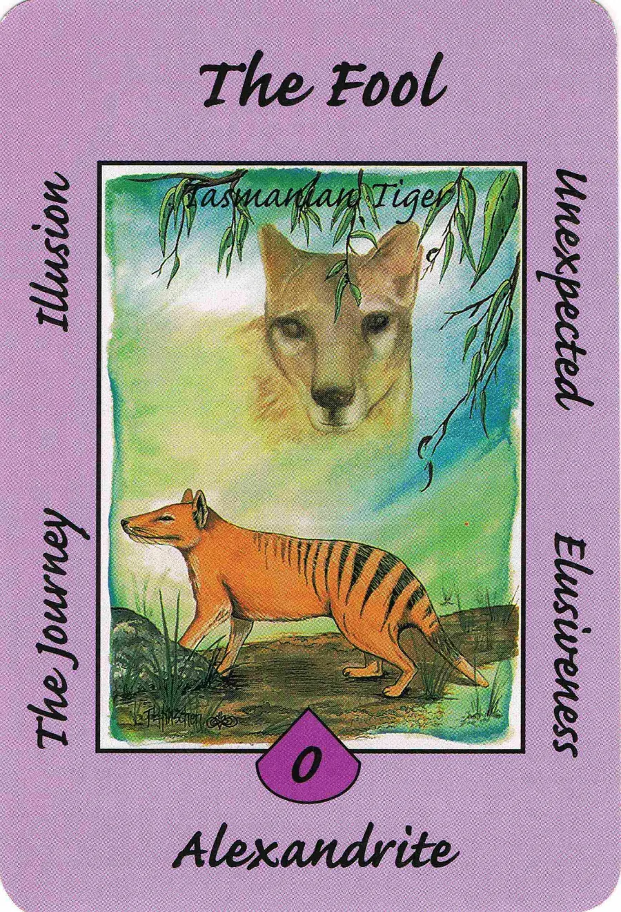 Australian Animal Tarot Review