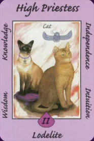 The High Priestess from the Australian Animal Tarot deck