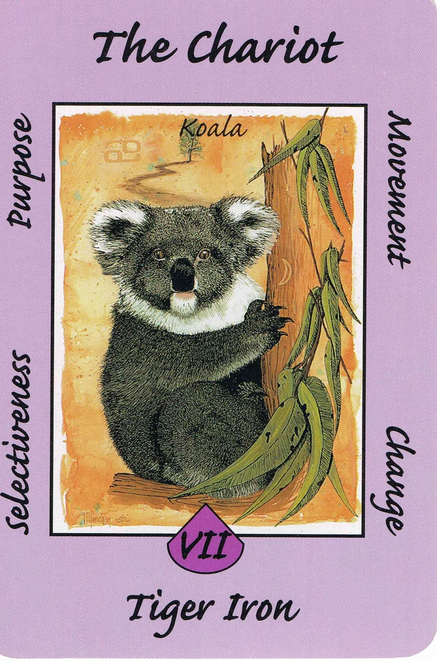 The Chariot from the Australian Animal Tarot deck