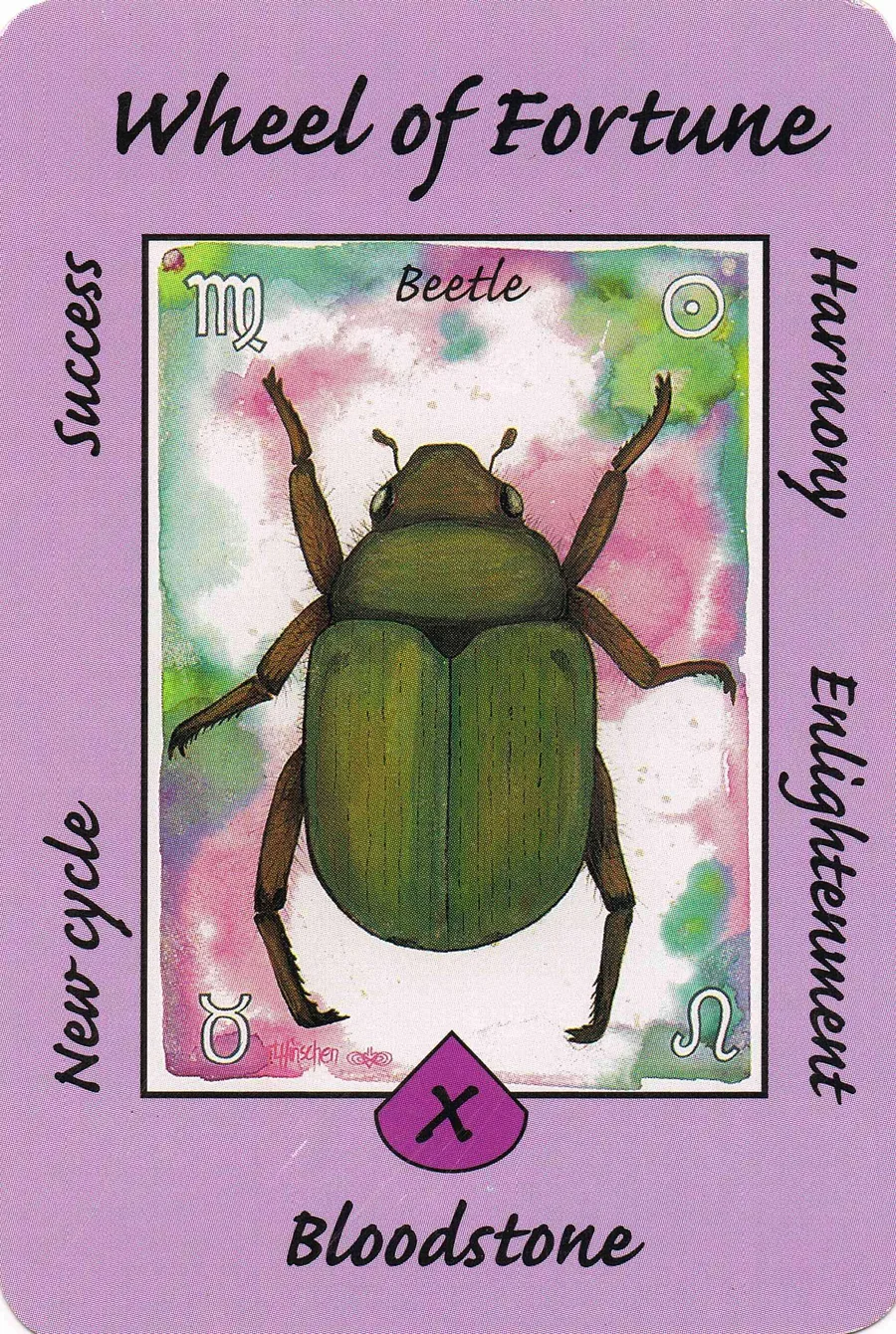 Wheel of Fortune from the Australian Animal Tarot deck