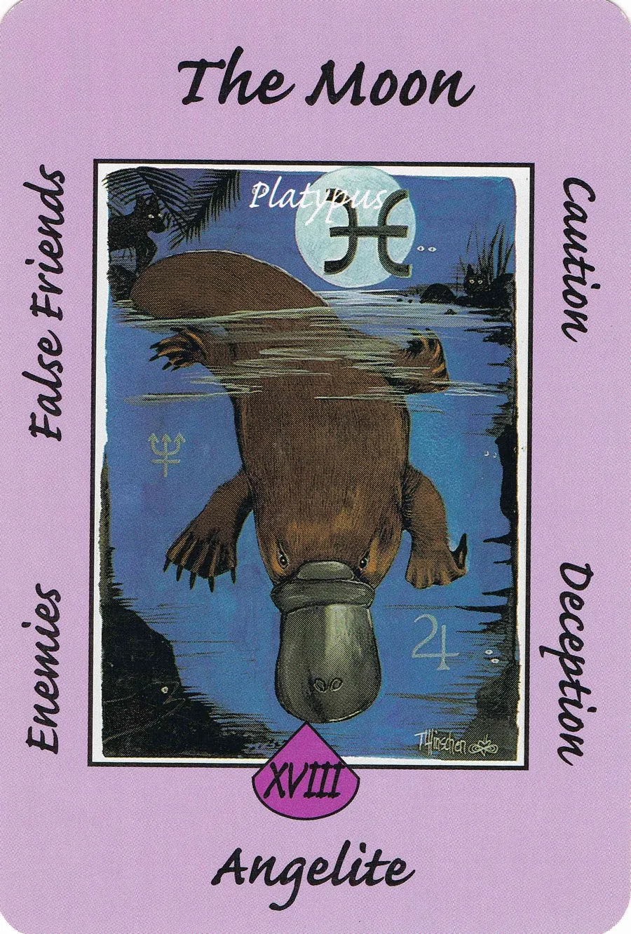 The Moon from the Australian Animal Tarot deck