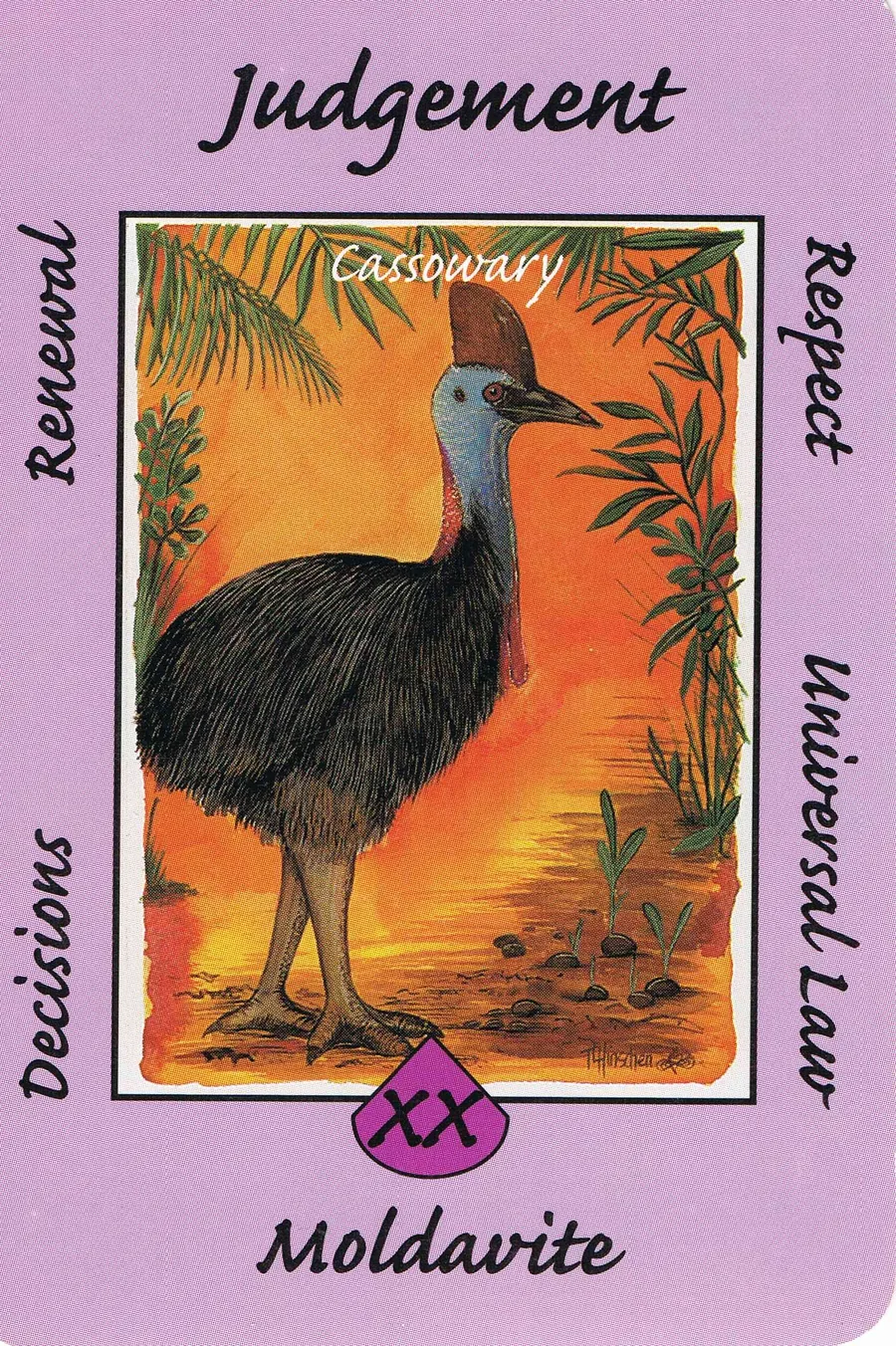 Judgement from the Australian Animal Tarot deck