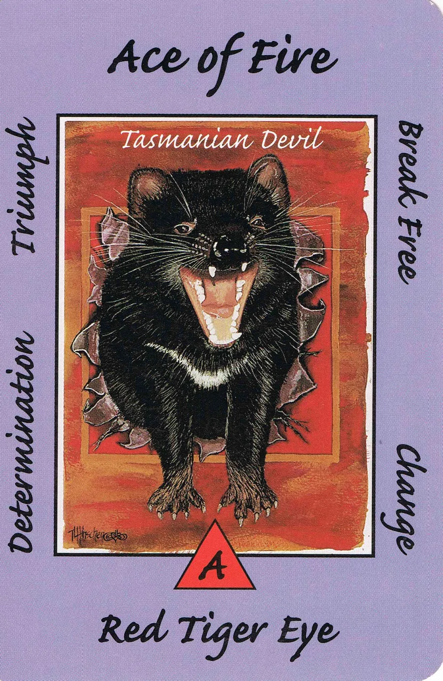 Ace of Fire from the Australian Animal Tarot deck