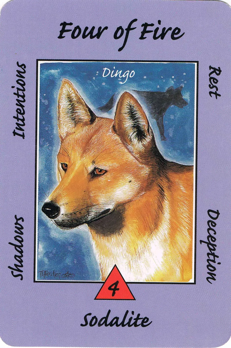 Four of Fire from the Australian Animal Tarot deck
