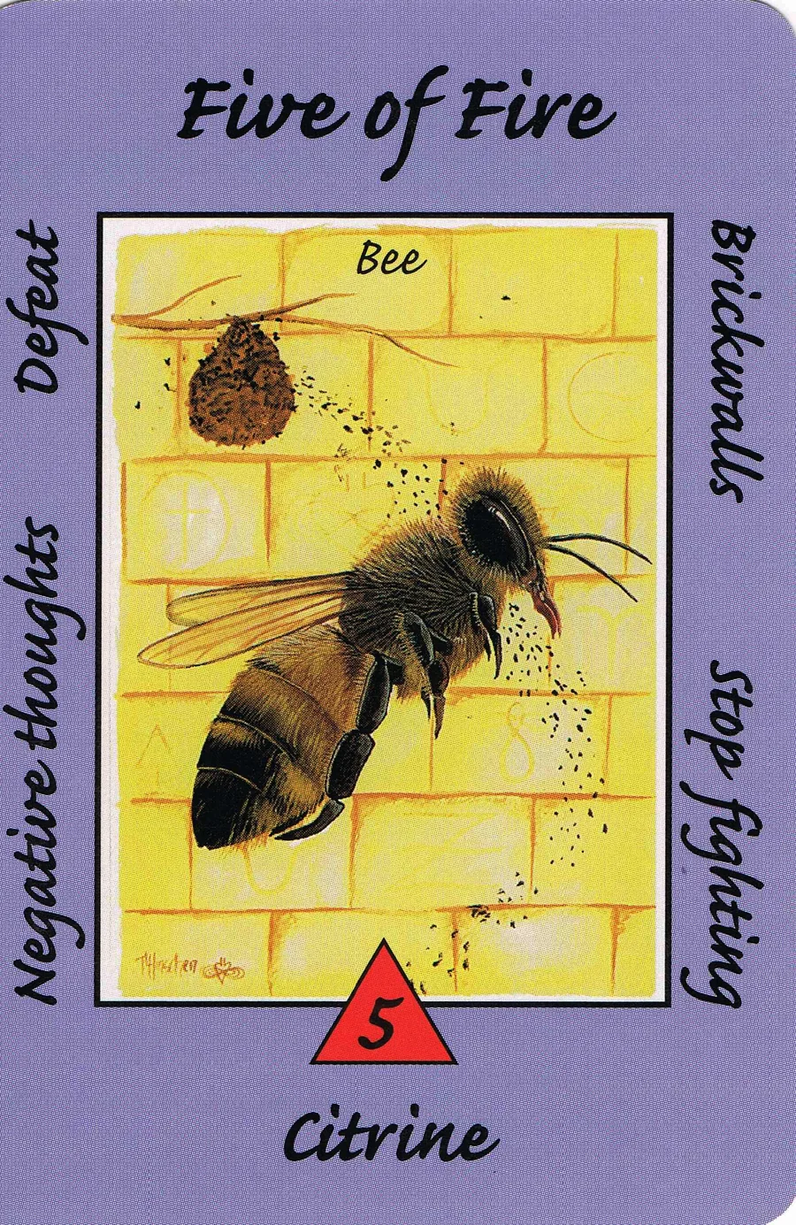 Five of Fire from the Australian Animal Tarot deck