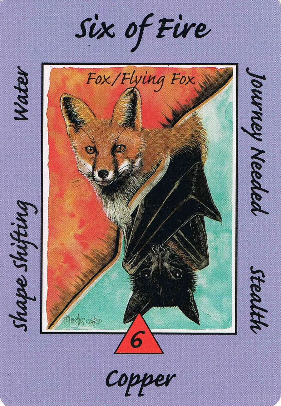 Six of Fire from the Australian Animal Tarot deck