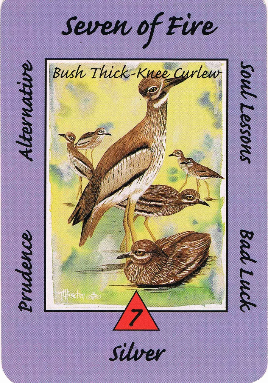 Seven of Fire from the Australian Animal Tarot deck