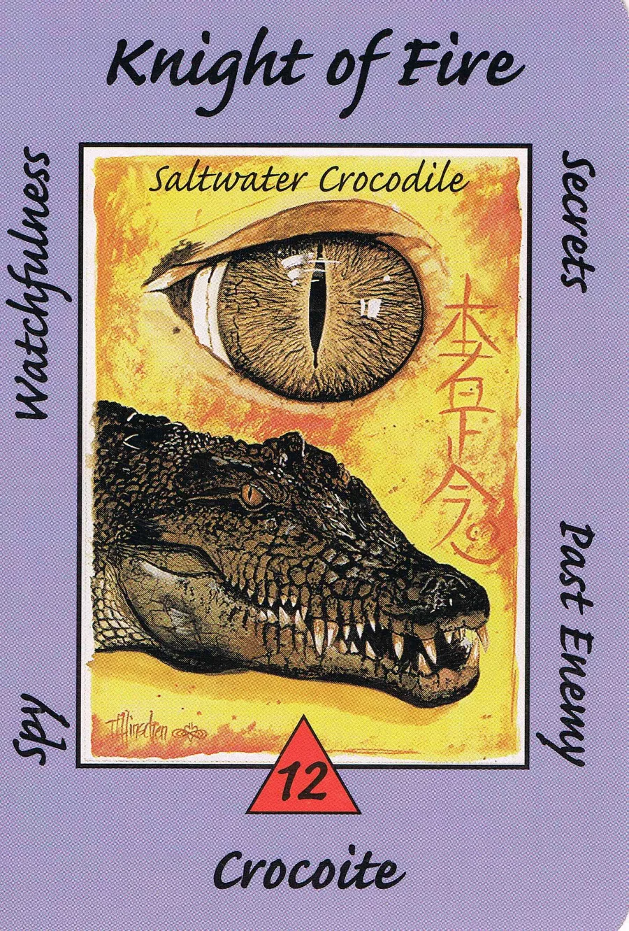 Knight of Fire from the Australian Animal Tarot deck