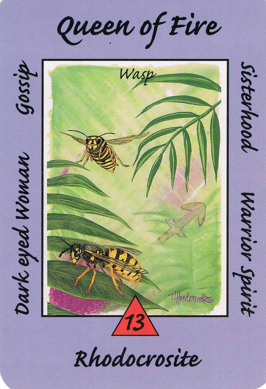 Queen of Fire from the Australian Animal Tarot deck